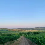 Bakos Pincészet Csobánc Bástya és Borterasz Apartamento *