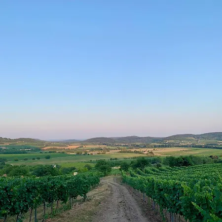 Bakos Pinceszet Csobanc Bastya Es Borterasz 公寓 *