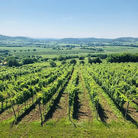 Bakos Pinceszet Csobanc Bastya Es Borterasz *